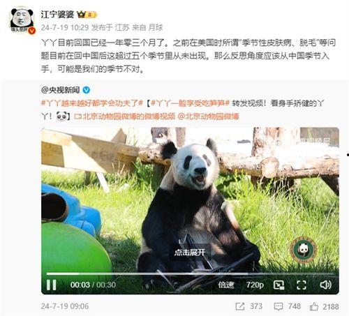 熊猫丫丫最新爆料消息,揭秘幕后真相与精彩瞬间 第1张 熊猫丫丫最新爆料消息,揭秘幕后真相与精彩瞬间 第1张